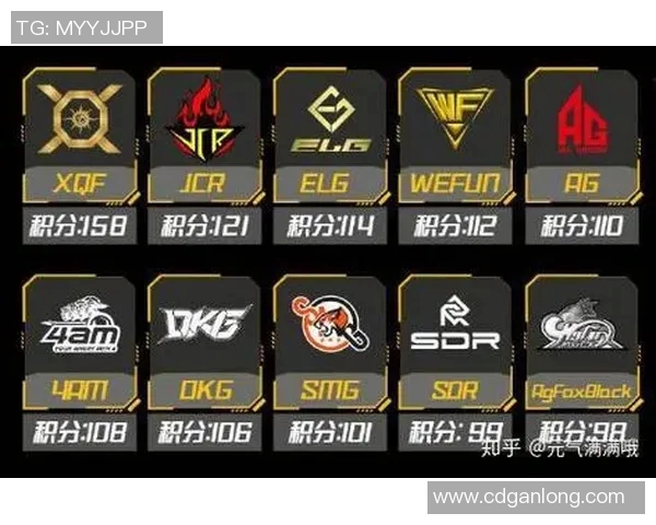 和平精英焦点FPX团队协作策略与实战经验的深入探讨与分析