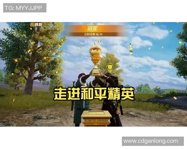 专访陈丽揭秘和平精英成功背后的策略与创新之路实时数据