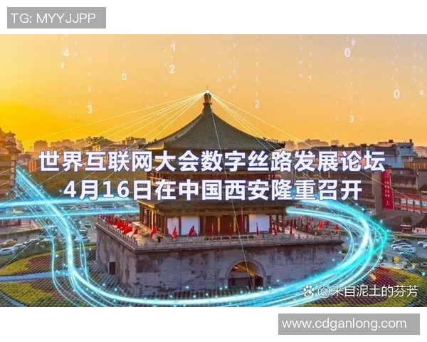 深度探讨张芳在CSGO中的成长与挑战之路实时数据 深度探讨张芳在CSGO中的成长与挑战之路实时数据